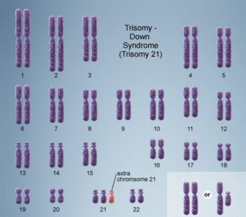 怀孕初期有什么症状_广东育儿假,俄罗斯试管婴儿如何助孕无排卵性患者？
