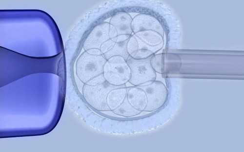 成都试管代生网,(三代试管成都)四川做三代试管能排除哪些遗传病