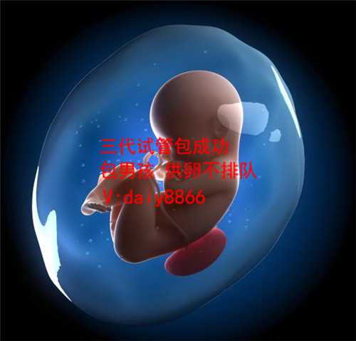 供精试管移植几个胚胎_国内试管能选男女吗_北京患上习惯性流产会引起女性不