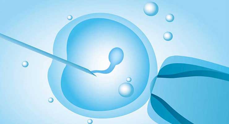 「孕产」让你一下明白！广州IVF-三代试管婴儿进周流程