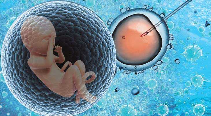 阿坝43岁供卵移植成功率_子宫肌瘤怀孕难，泰国第三代试管婴儿官宣怀孕