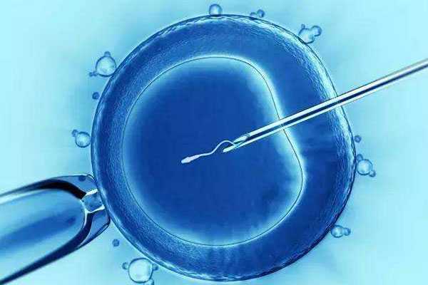 临汾44岁供卵移植囊胚的成功率_试管婴儿移植之前为什么需要打降调