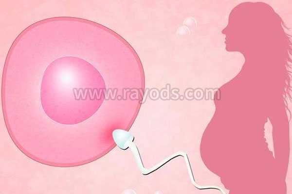 太原42岁供卵怀孕了_试管婴儿最痛苦的步骤是哪一步？
