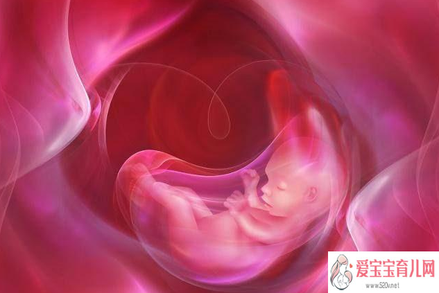 试管婴儿移植后几天可以验孕试管婴儿移植验孕成功怎么保胎