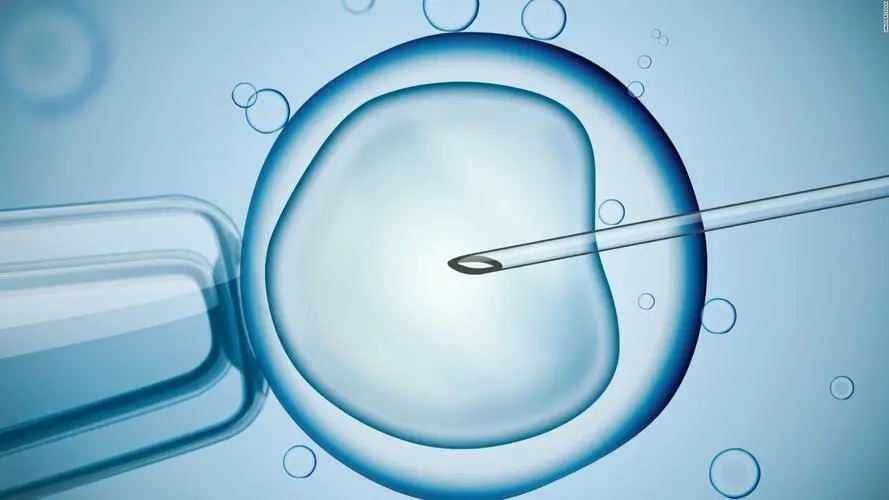 西安借腹生子在合法吗_sRhg6_两步移植法移植两个胚胎成双胞胎的多吗？_6p9aB_