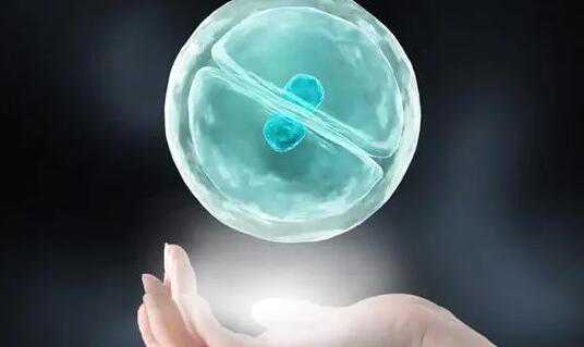 成都供卵代怀经历 影响成都西囡IVF成本的因素 ‘ntb超男宝’