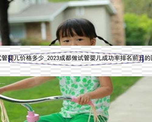 四川省妇幼试管婴儿价格多少_2023成都做试管婴儿成功率排名前五的医院有哪些